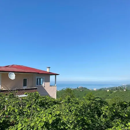 Yomra-kasustu Villa *